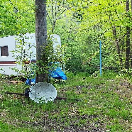 Camping Le P'Tit Bonheur Escaro المظهر الخارجي الصورة