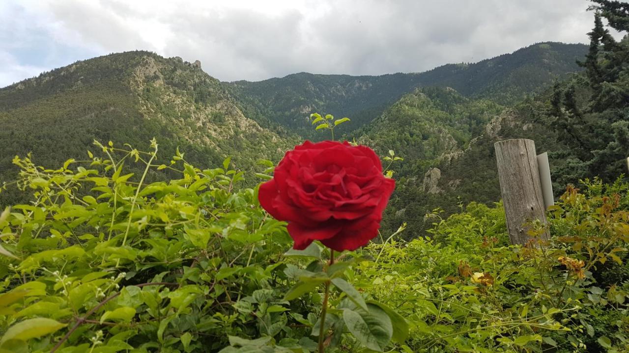 Camping Le P'Tit Bonheur Escaro المظهر الخارجي الصورة