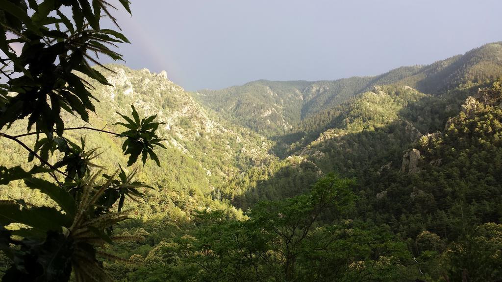 Camping Le P'Tit Bonheur Escaro المظهر الخارجي الصورة